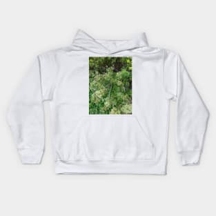 Thicket (terebinth and vetch) Kids Hoodie